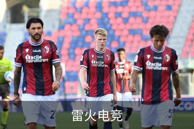 关于雷火电竞